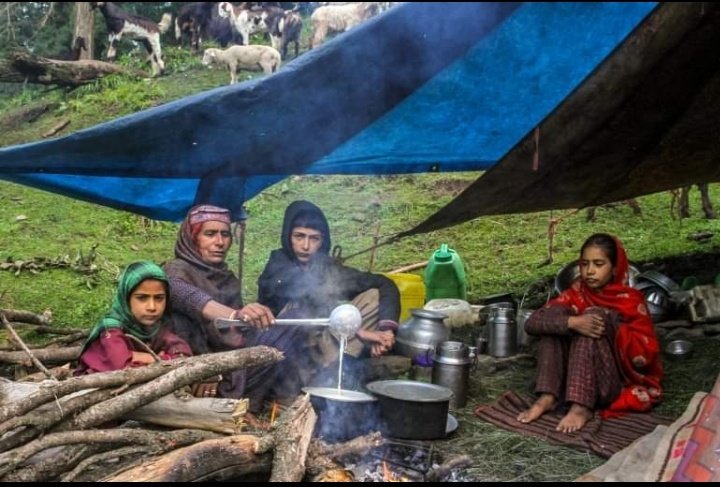 NomadicSafeer's tweet photo. Not ST Status to upper castes.Gurjjar Bakerwals are protecting the soverginity of India in the foreward areas of LOC in J&K. Its sheer injustice with them by including the elite classes of J&K in ST
#NoSTStatusToEliteClassesInJK
@PMOIndia @narendramodi
@HMOIndia @TribalArmy https://t.co/UB68K6OeMm