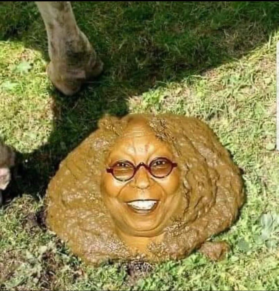 petermanbill196's tweet image. Perfect 😂😂😂