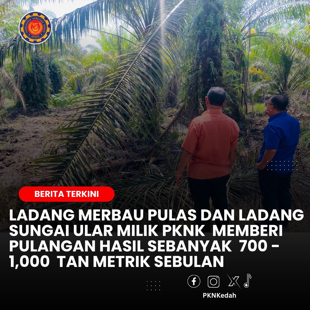 pknkedah's tweet photo. https://t.co/YU2DGTe83Y