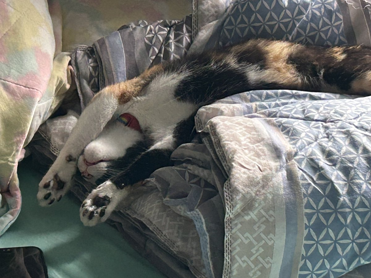 malujacqu's tweet image. 