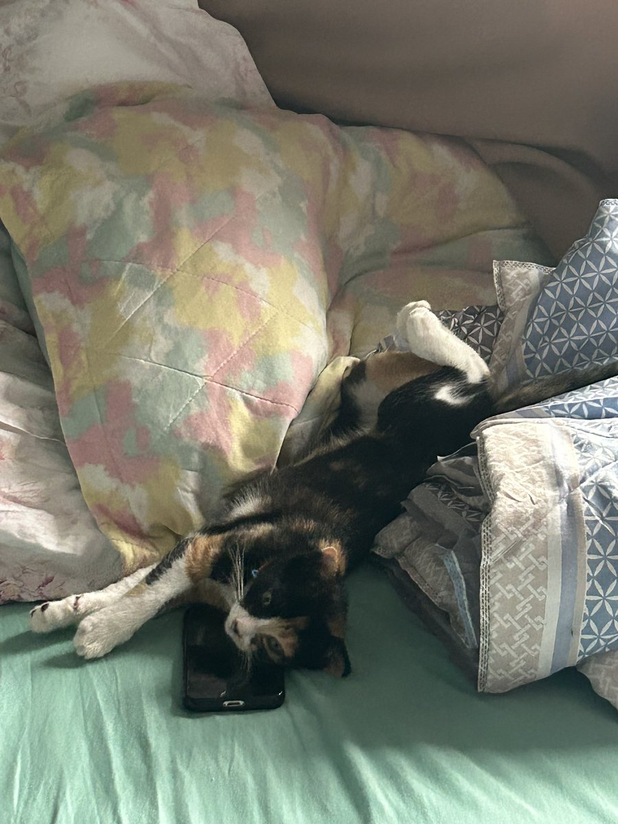 malujacqu's tweet image. 