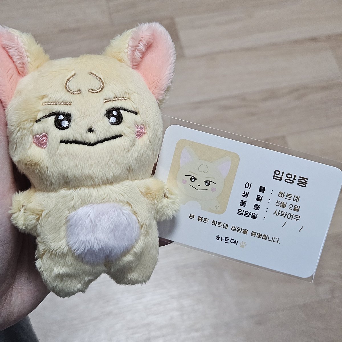 늦은 하트뎨 후기🍀

하 진심 제 첫 현물인형인데요 진짜 세상 너무 귀엽구요 너무 이뻐요 한번씩 데리고 나가는데 하.... 시간만 난다면 냅다 사진찍으러 여기저기 돌아다니고파요🥹🫶🏻