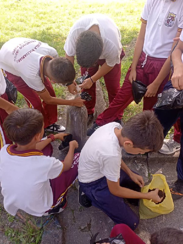 misionarbolven's tweet photo. #Táchira El pasado #2Febr se realizó un taller de formación, en el cual se hizo llenado de 63  bolsas de polietileno con abono orgánico, se desgranó semilla forestal, especie Saman con los  estudiantes de la U.E.N. Francisco Javier García de Hevia, en el municipio  Córdoba. https://t.co/c3ctwHQO0z