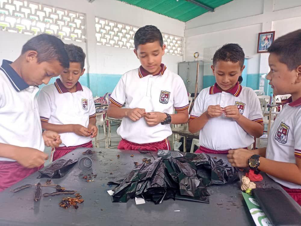misionarbolven's tweet photo. #Táchira El pasado #2Febr se realizó un taller de formación, en el cual se hizo llenado de 63  bolsas de polietileno con abono orgánico, se desgranó semilla forestal, especie Saman con los  estudiantes de la U.E.N. Francisco Javier García de Hevia, en el municipio  Córdoba. https://t.co/c3ctwHQO0z