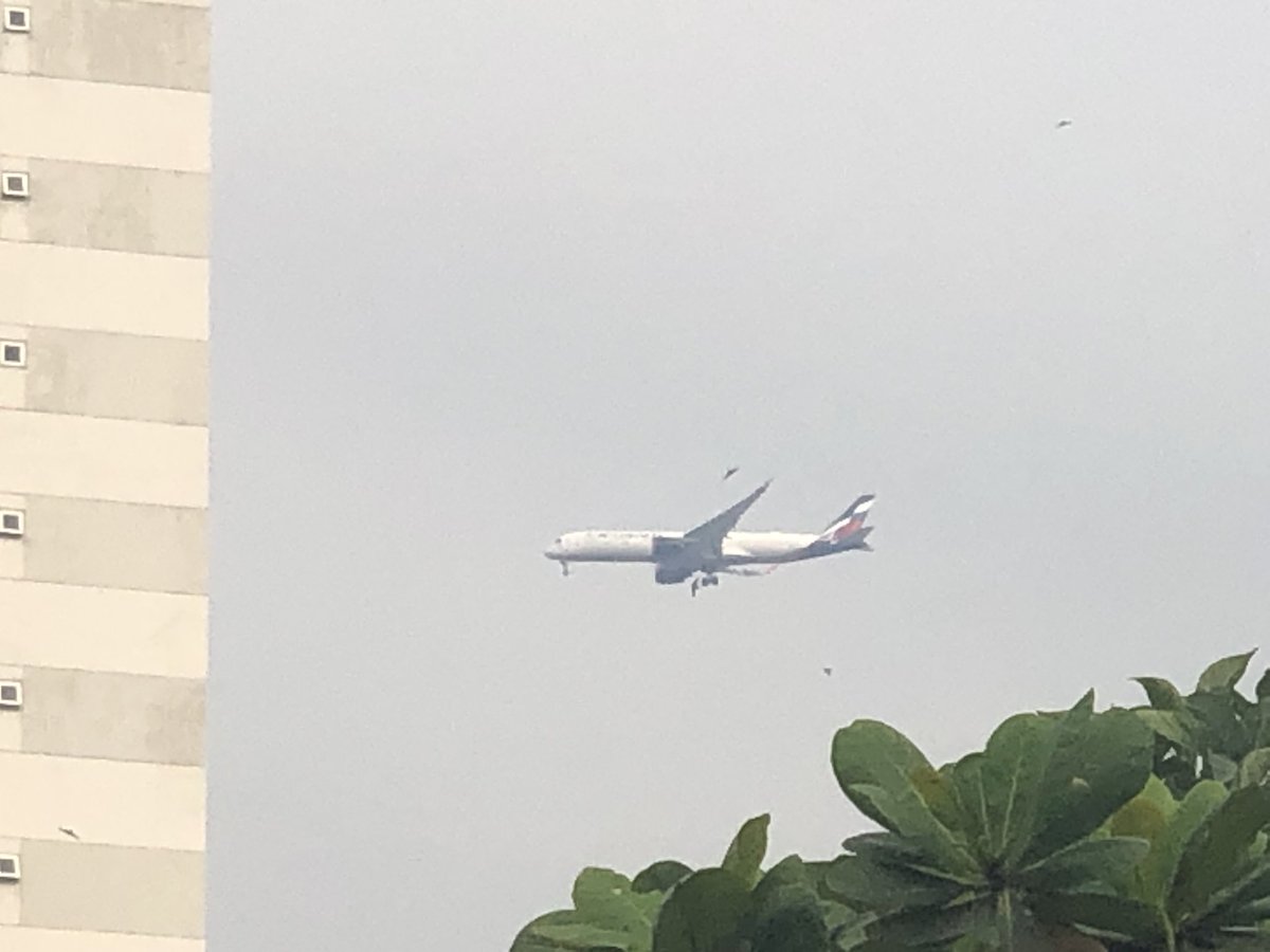 N0zzel1's tweet photo. Aeroflot A350 / SU292
SVO/UUEE - SGN/VVTS 
Peak quality btw https://t.co/duJazWBq4I