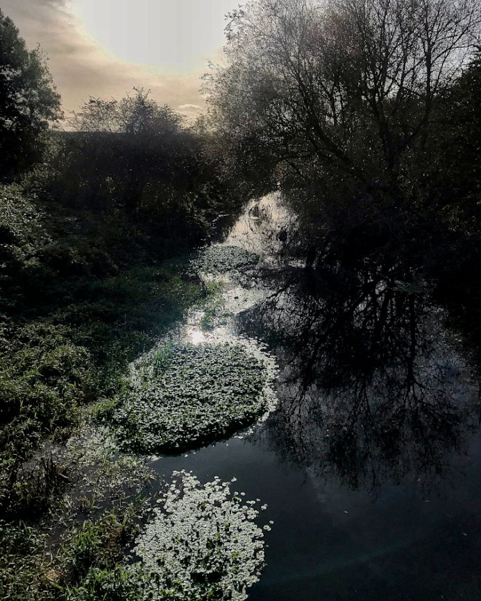 HooklandGuide's tweet photo. There are parts of the River Crook wise anglers don't fish. It's not out of fear of Stay Belows, Necks or Red Maidens. It's from a knowing that it has eddies where curses have collected. Places where all the trauma of the land has flowed downstream. All you can catch is ill-luck. https://t.co/PpmktfLR0r