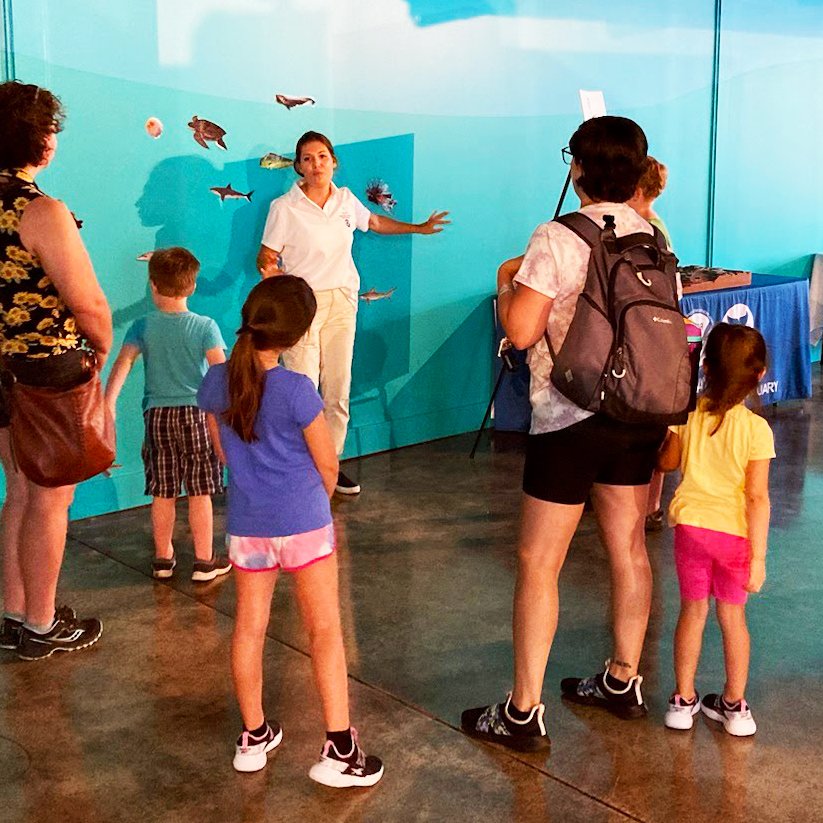The Ocean Discovery Center will be open for SUPER MUSEUM SUNDAY on Feb. 11, from 12:00p-4:00p. Create a Gray's Reef-inspired face mask from paper plates as part of our Trash to Treasure series! The Ocean Discovery Center will be CLOSED on Saturday, Feb. 10. #SuperMuseumSunday