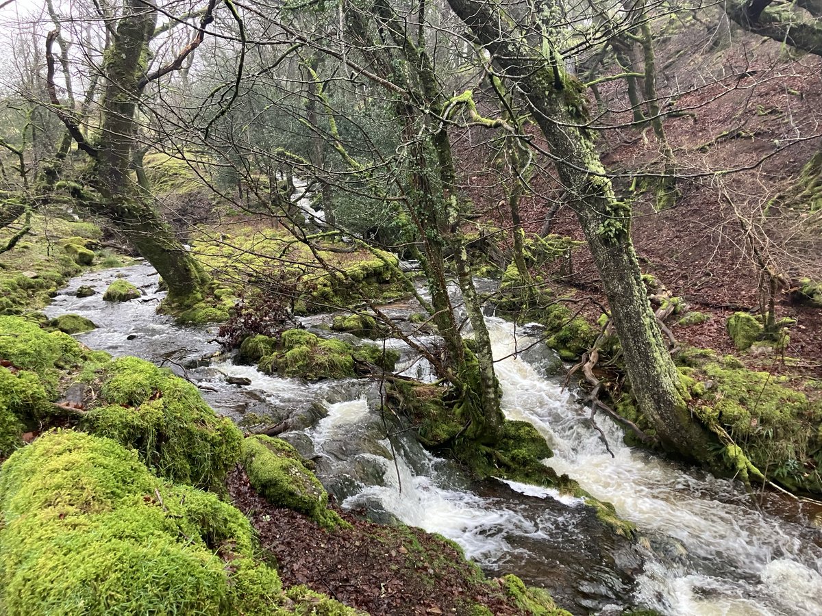A very wet Dartmoor walk to Glaze Meet - confluence of the East &amp; West Glazebrooks.