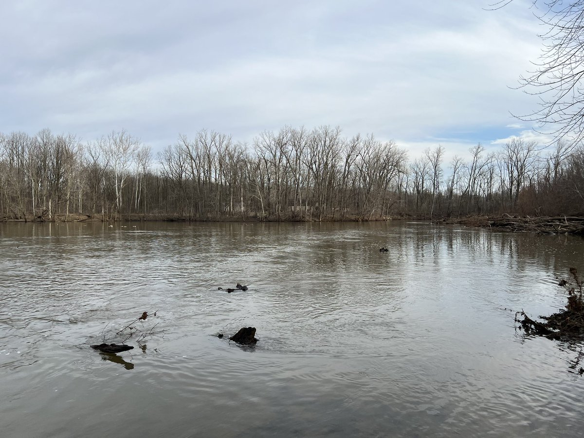 Paul DeRolf tweet media