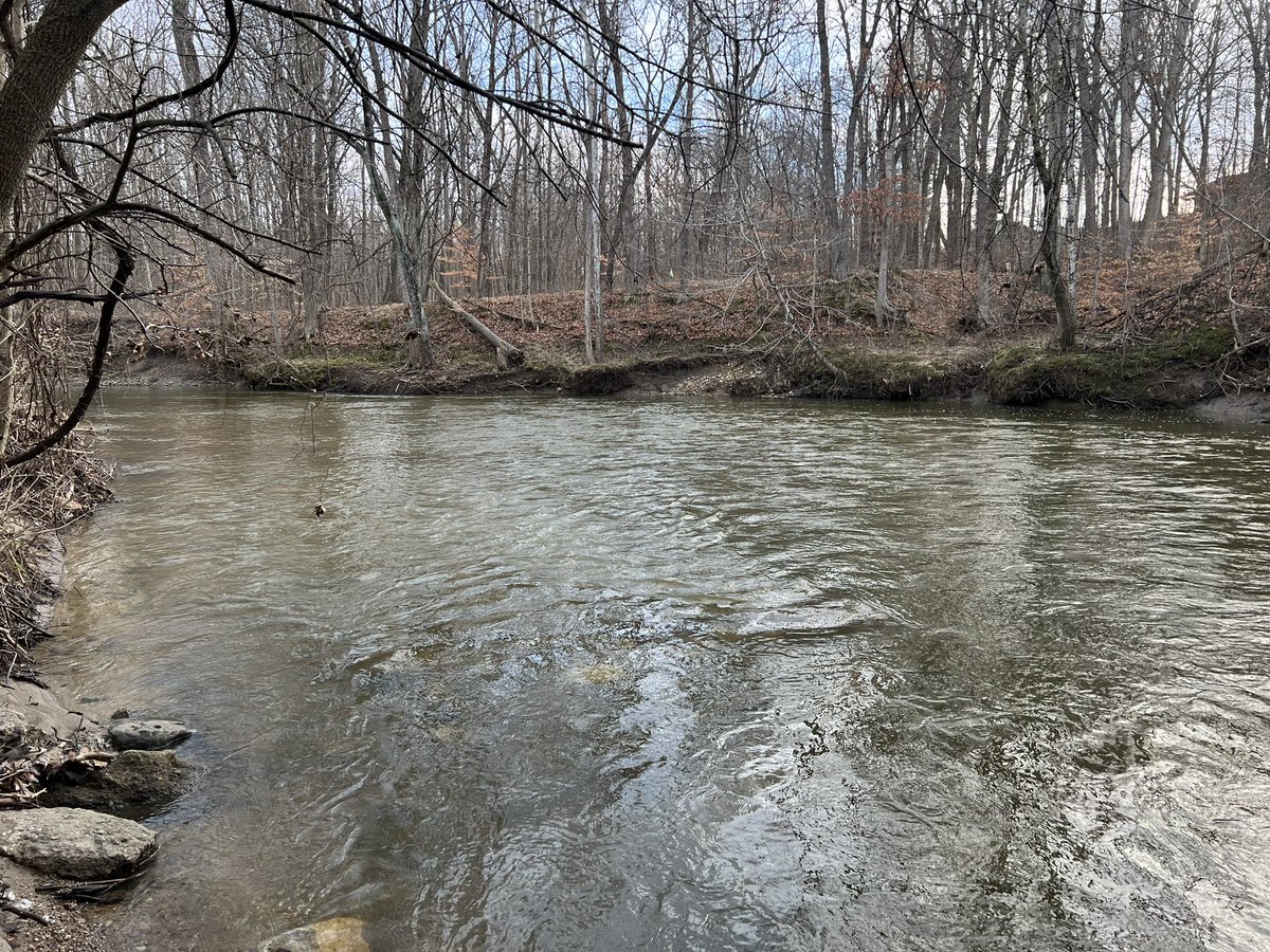 Paul DeRolf tweet media