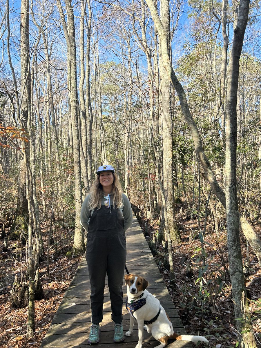 Devani Jolman tweet media