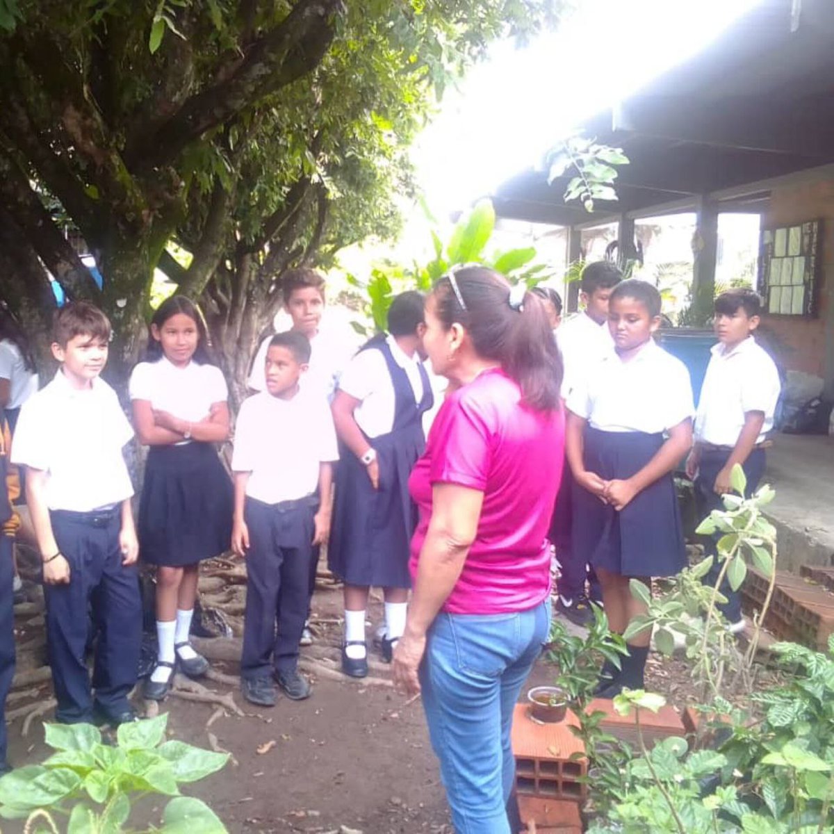 misionarbolven's tweet photo. #Táchira // El pasado #6Febr se desarrolló un taller de formación, sobre preparación de sustrato, llenado de bolsas, siembra y germinación de semillas con los estudiantes de 5to y 2do grado de la E.N. Marco Tulio Ramírez Roa, perteneciente al municipio García de Hevia. https://t.co/ol7cRdNdpj