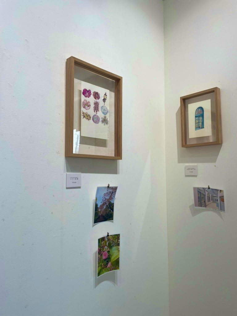 HarukaTsupi1102's tweet photo. #個展 #初個展  #exhibition #firstexhibition #art #美術 #個展終了 #個展終了ありがとうございました  #漫画 #イラスト #創作 #artist  #バンドデシネ #あおぬすびと #松本はるか https://t.co/kBSDoPCBAw
