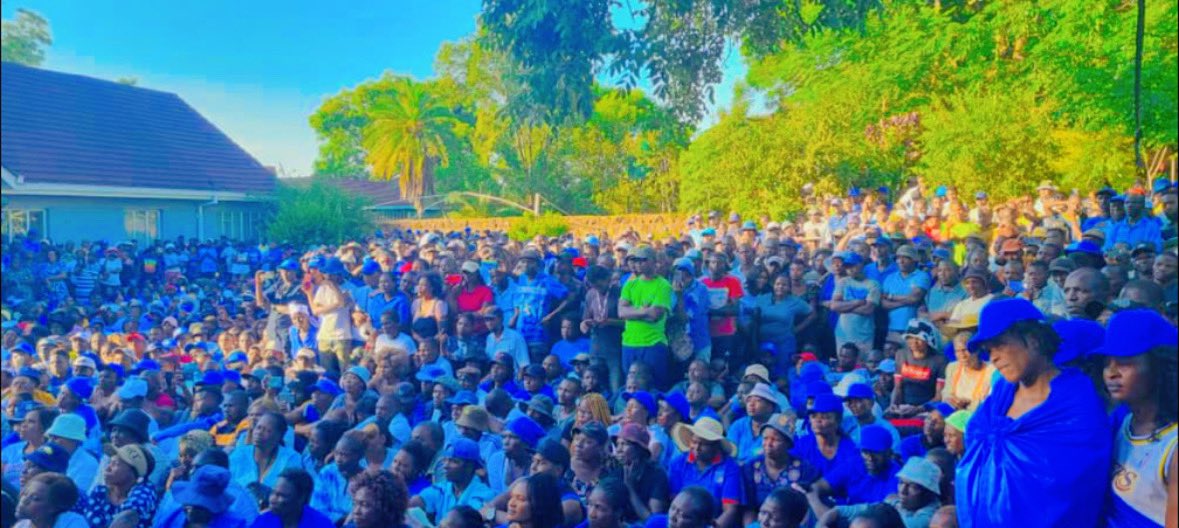 Gift Ostallos Siziba tweet media