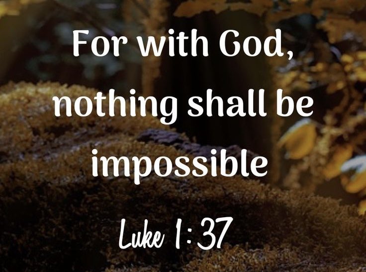 Angelmom337's tweet photo. Happy Thursday, Twitter family!! https://t.co/WHKahHMNHE