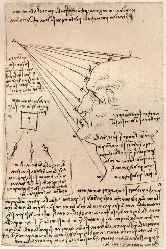 fer_study's tweet image. 📌 #studytwt #collegetwt #medtwt #langtwt

• fernanda, 2004
• acadêmica de medicina
• do Norte do Brasil
• adoro ler, estudar línguas e dançar

🫀 livros, rap, medicina, cinema de rua e renascimento