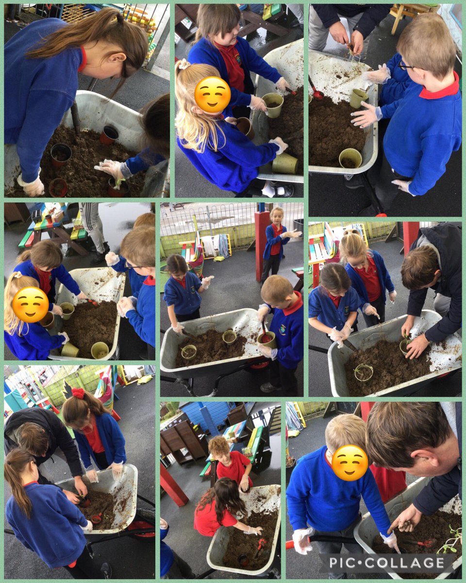 Miss Cornock tweet media