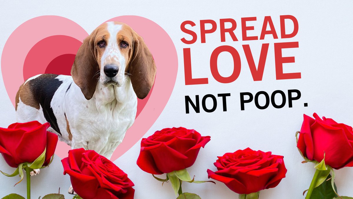 WhatcomCoPWA's tweet image. Dear Valentine, treats are fine, but a clean yard is divine! 
#ScoopItBagItTrashIt
#SpreadLoveNotPoop