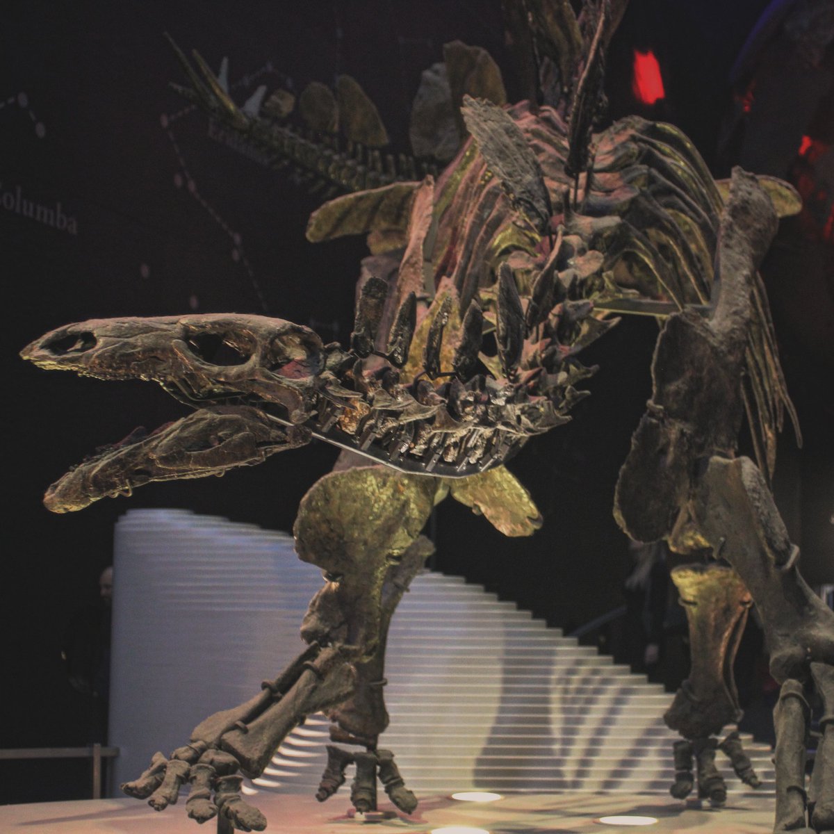 Biddenham Int School tweet media