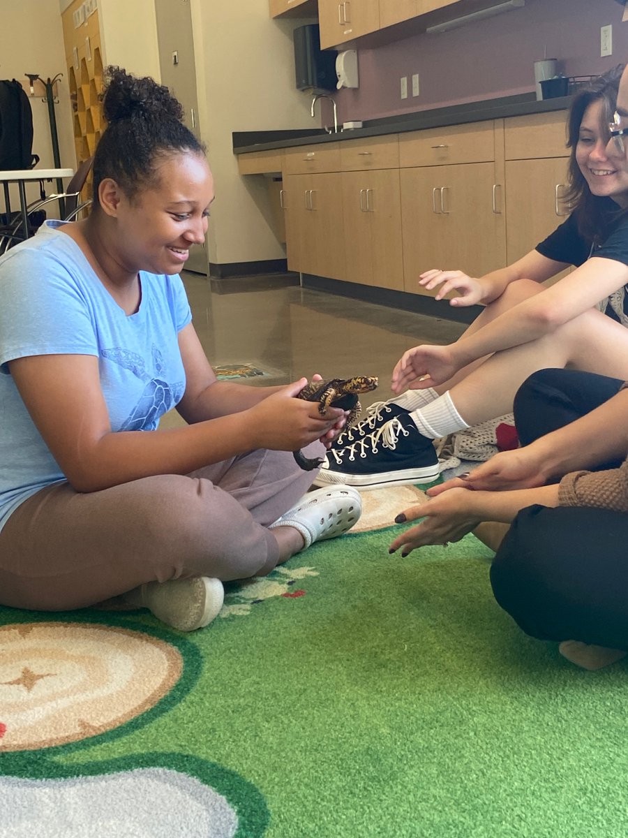 Yorktown Virtual Academy tweet media