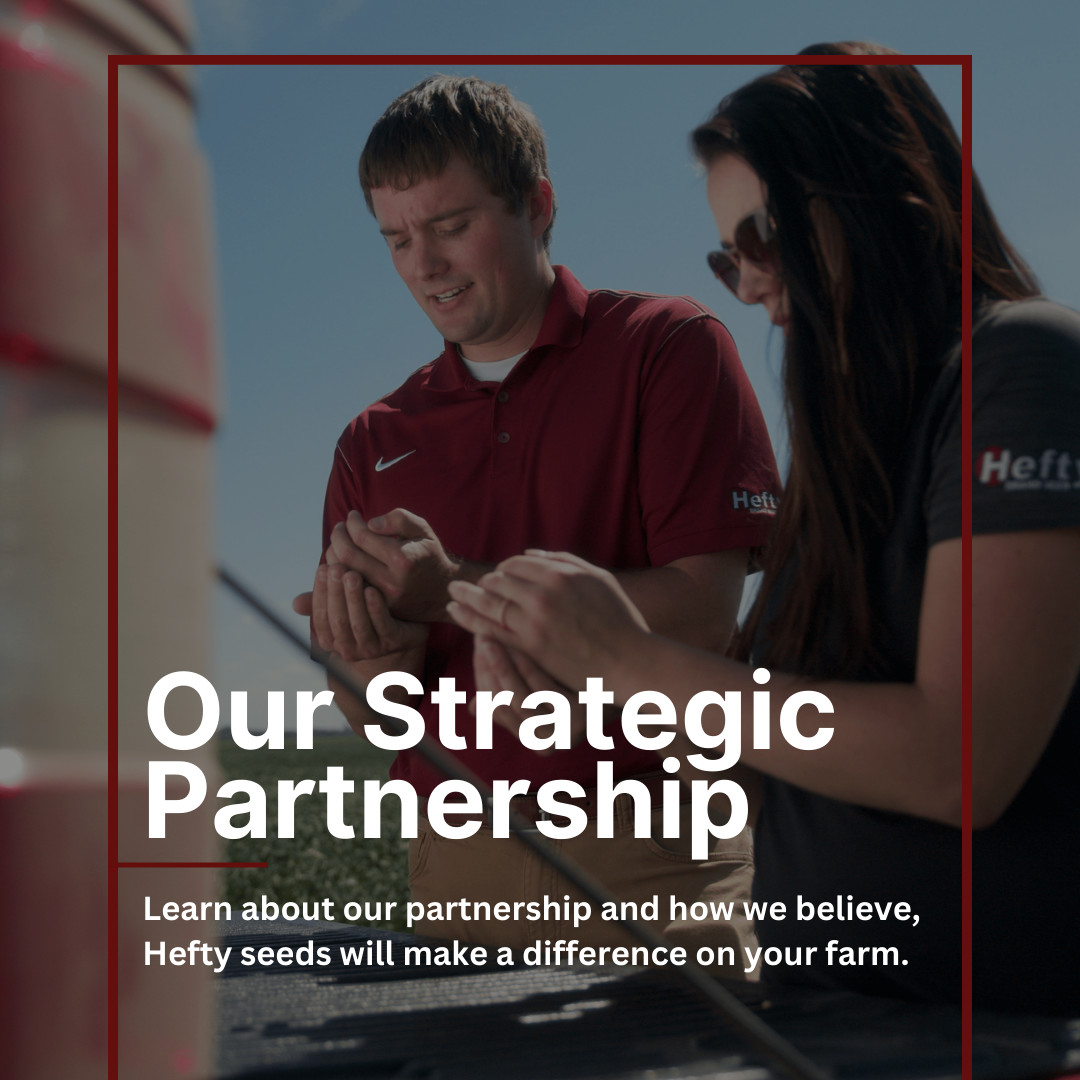 RedRiverAg_MN's tweet image. As one of the largest and fastest-growing brands in the business, we&apos;re proud to partner with Hefty Seeds. Learn more about Hefty and why we&apos;re so excited to bring their top-quality seeds to your farm. 

heftyseed.com/about 

#RedRiverAg #HeftySeed