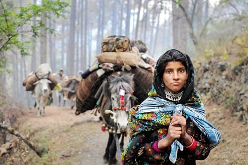 Taib_Hussain_KR's tweet photo. The rights of the Gujjar-Bakerwal community are non-negotiable. We urge authorities to heed their pleas and #WithdrawJKSTAmendmentBill. Let's ensure justice and equality for all in Jammu and Kashmir.
@PMOIndia @narendramodi  @rashtrapatibhvn @AmitShah @RahulGandhi @ravishndtv https://t.co/T3XNls6MVh