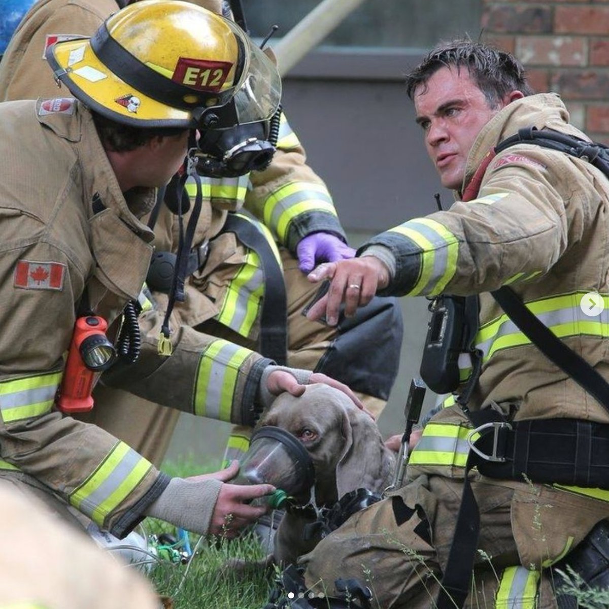 Calgary Firefighters tweet media