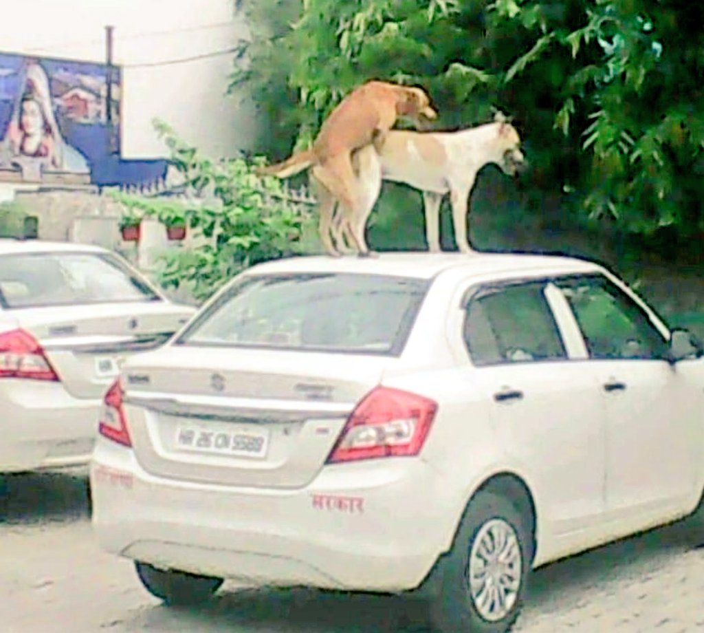 SadhaMaanus's tweet photo. That car is "Swift Desire"...
#ThursdayHumour https://t.co/u7P54RYWQn