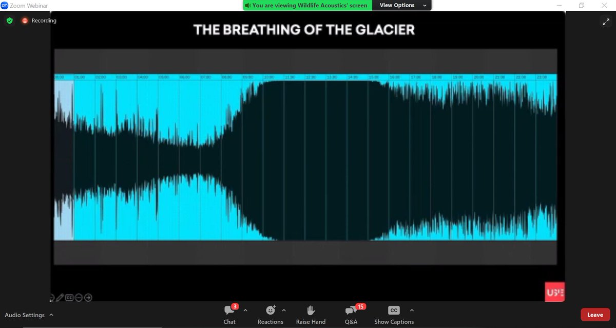 Arctic_paws's tweet photo. "The melting of a glacier generates sound, an unstoppable noise that will cause silence" — Sergio Maggioni, a powerful message delivered during the amazing @WildlifeAcoust #ColdWeatherWebinar 🎵❄️ https://t.co/kd9TF82IXL