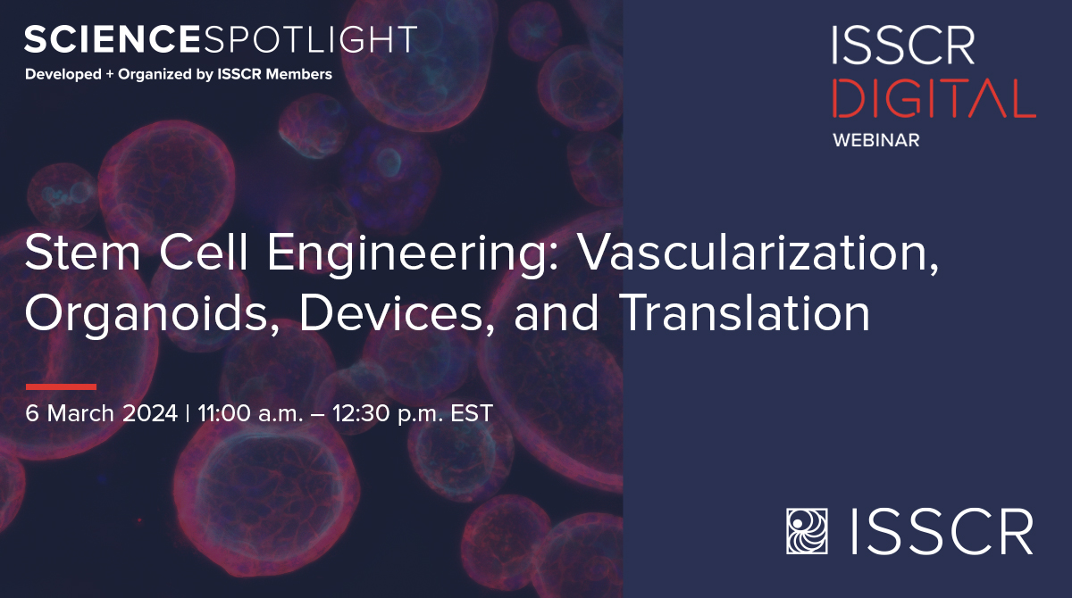 ISSCR's tweet image. Join us for the #ISSCRDigital webinar on 6 March to explore how #vascularization, 3D #biomaterials, microfluidic devices, and #stemcell engineering are being used to better understand human stem cells and their applications👉 bit.ly/49fjhoa
