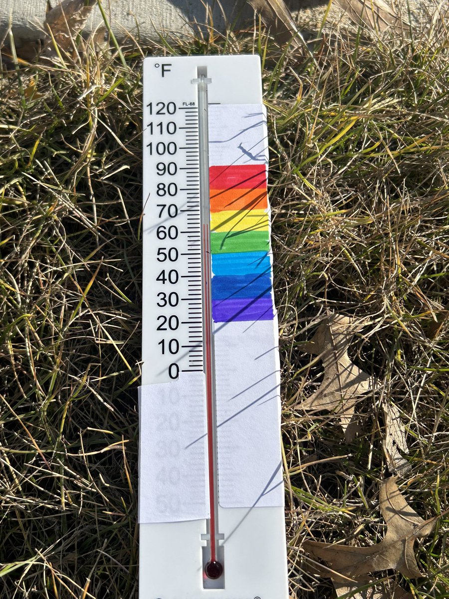 Amanda Sanderman tweet media