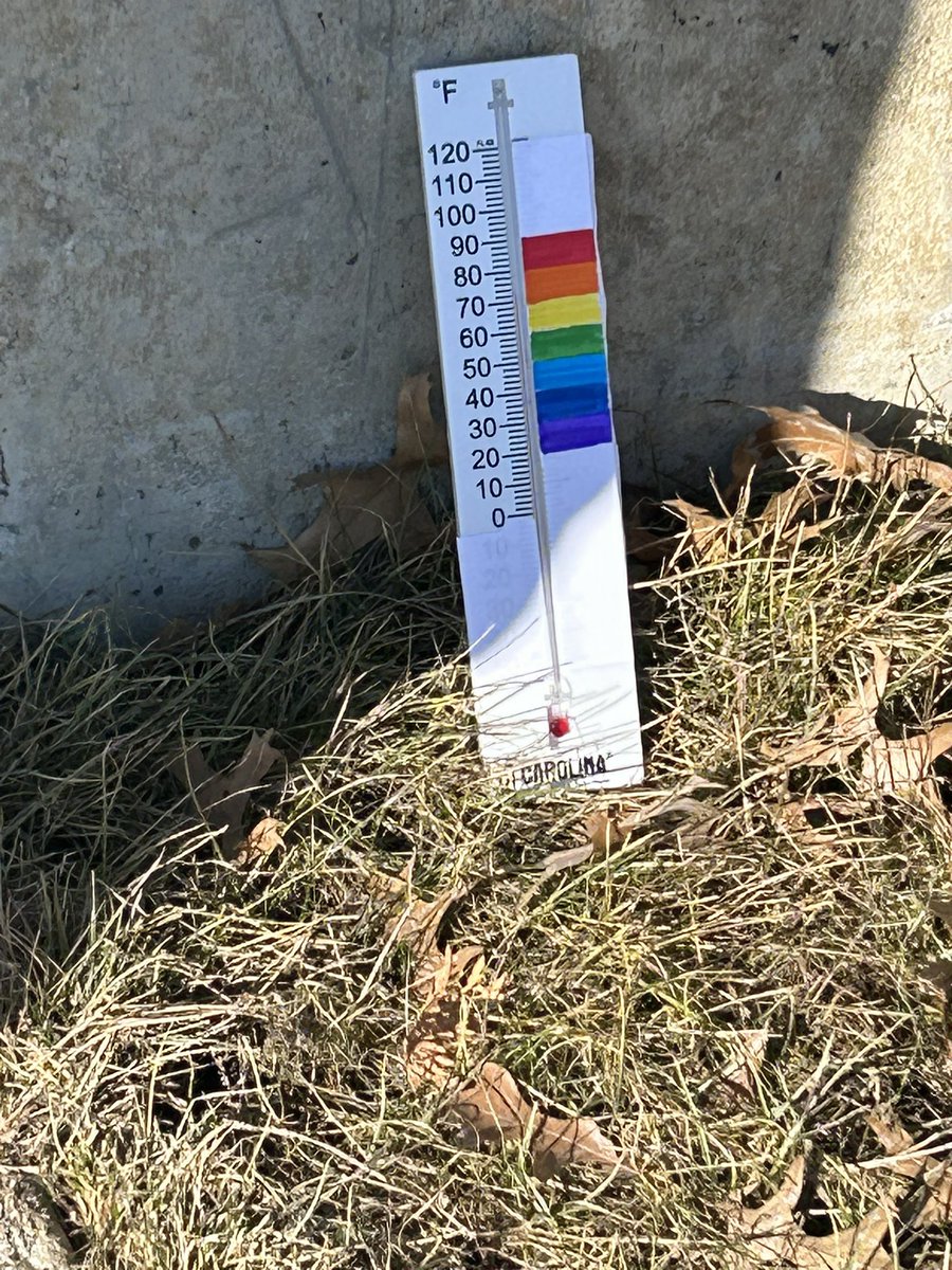 Amanda Sanderman tweet media