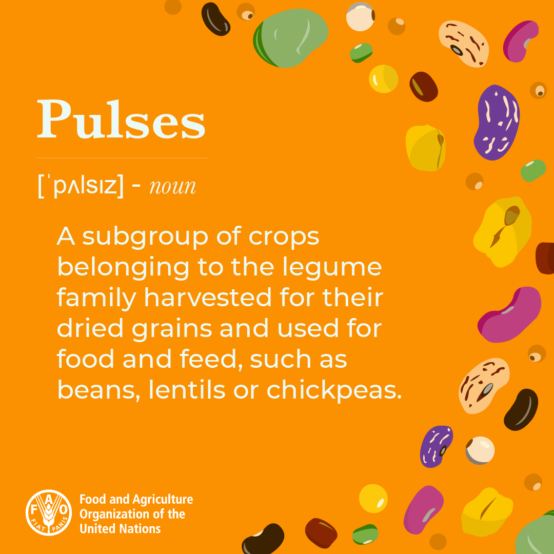 ❤️💚🧡🤍🖤🤎

Red, green, orange, white, black, brown…

Pulses come in different colors and they are packed with many benefits for you and the planet. 

But what exactly is a pulse, you might ask?👇

#WorldPulsesDay #LovePulses