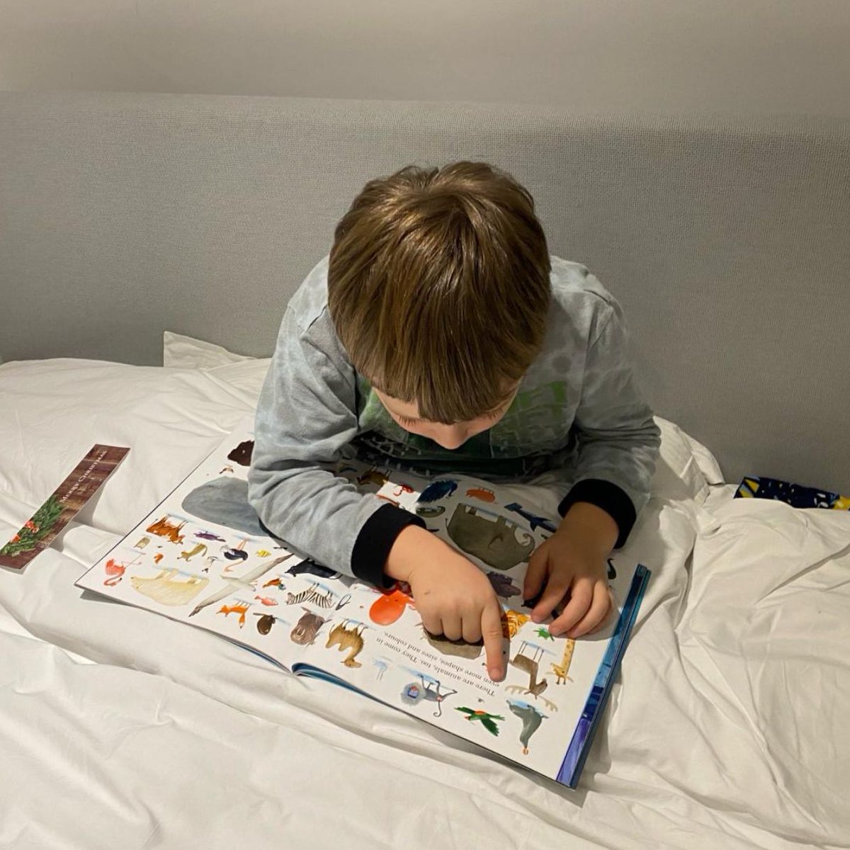 Micklefield School Reigate tweet media