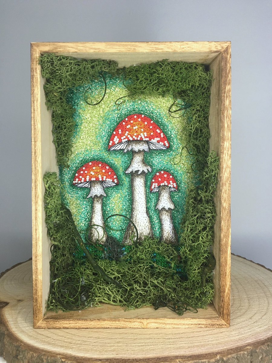 Thread drawn fungi shadow box! #bigcartel #fungiartwork #mushroomartwork