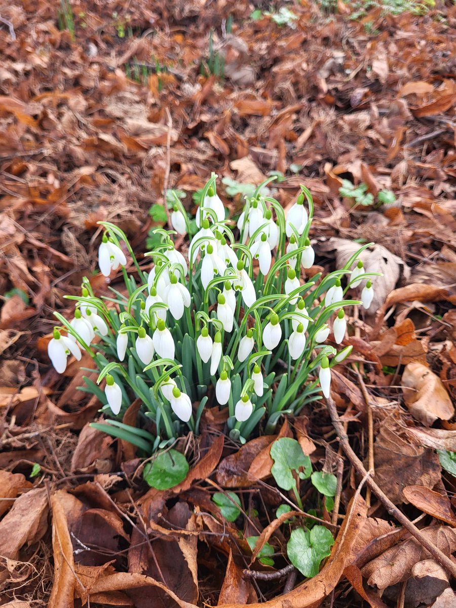 Barefeats33's tweet photo. #Springtime is almost here 😁 https://t.co/ZoNq2zCZkx