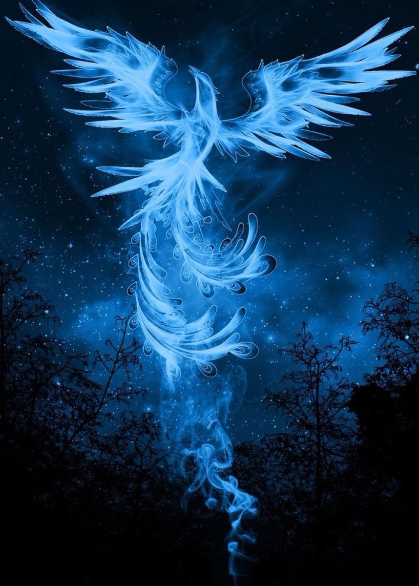 TheDailyHPotter's tweet photo. A beautiful patronus 🦅 https://t.co/VM7mH7tYpc