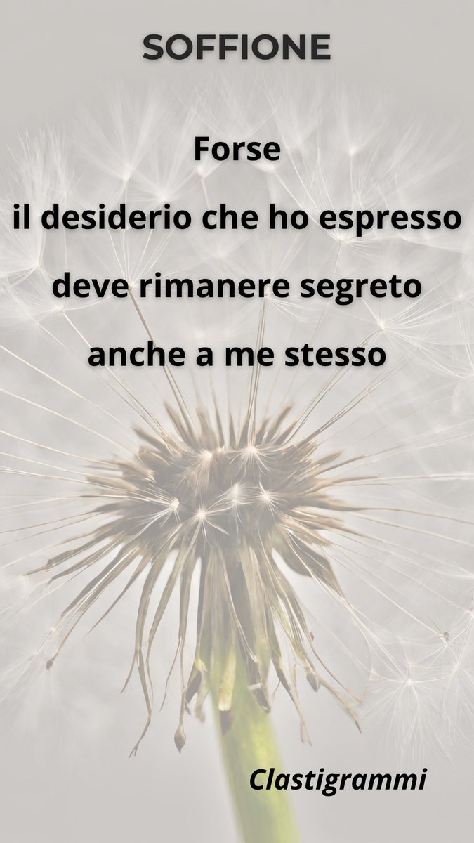 clastigrammi's tweet photo. Forse
il desiderio che ho espresso
deve rimanere segreto
anche a me stesso

#poesia #VentagliDiParole #soffione #desideri #sogni #versiliberi #pensieri #clastigrammi https://t.co/d1p5zJ2bJo
