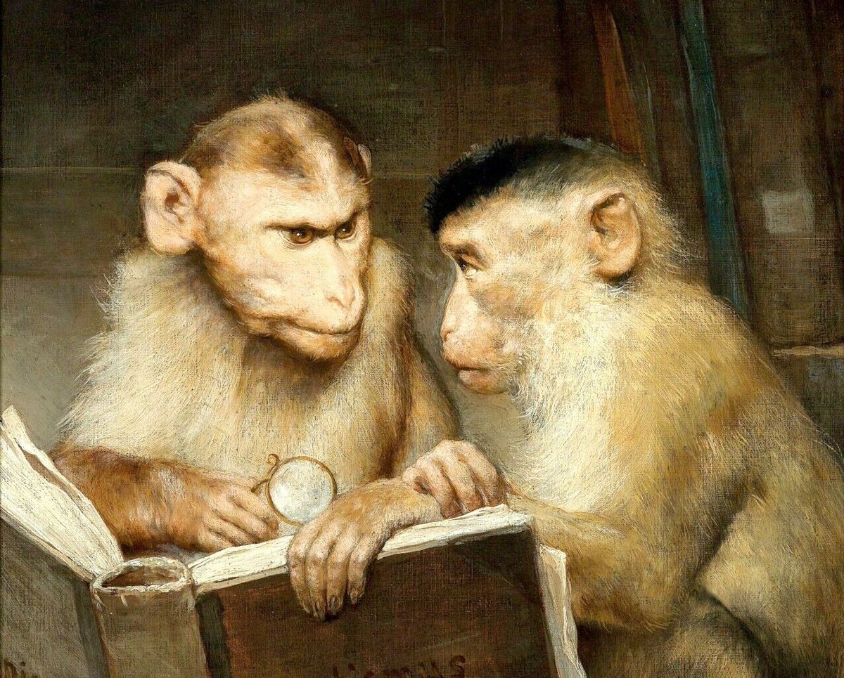 DΛЯIUSH tweet media