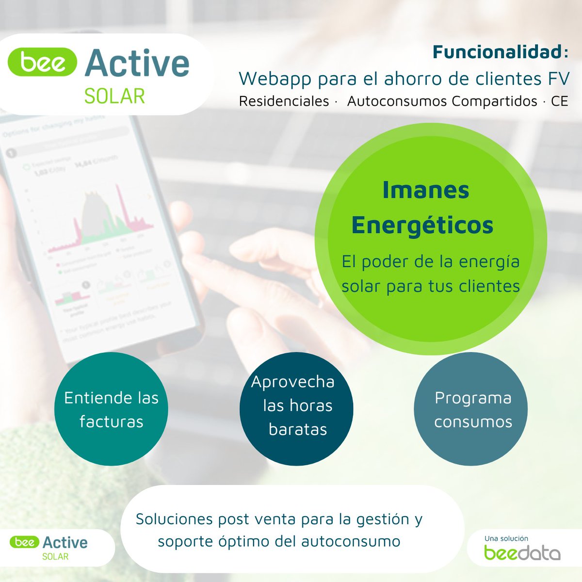 BEEDATA ANALYTICS tweet media