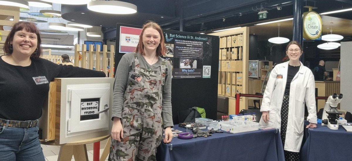 NVC group tweet media