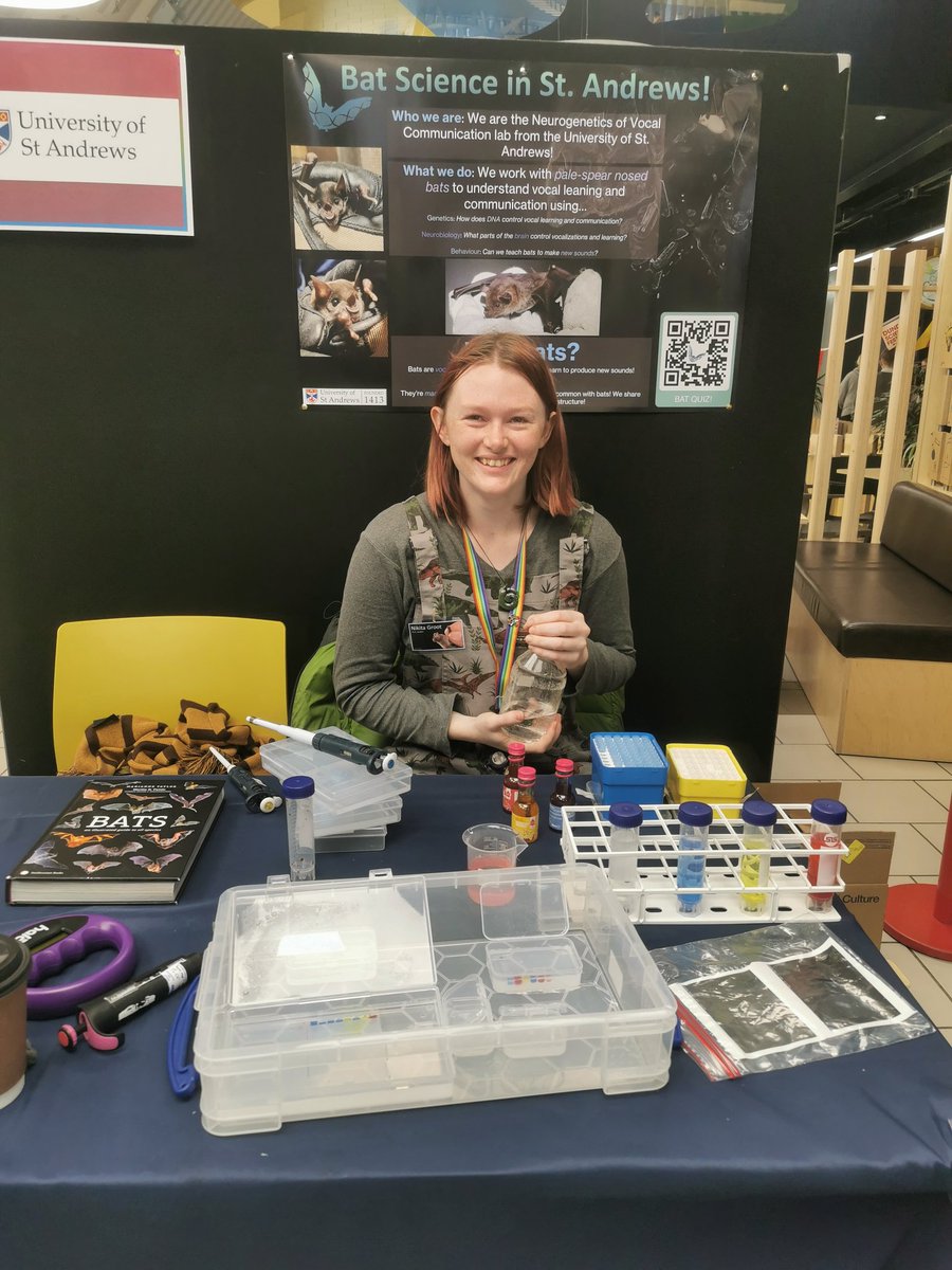 NVC group tweet media