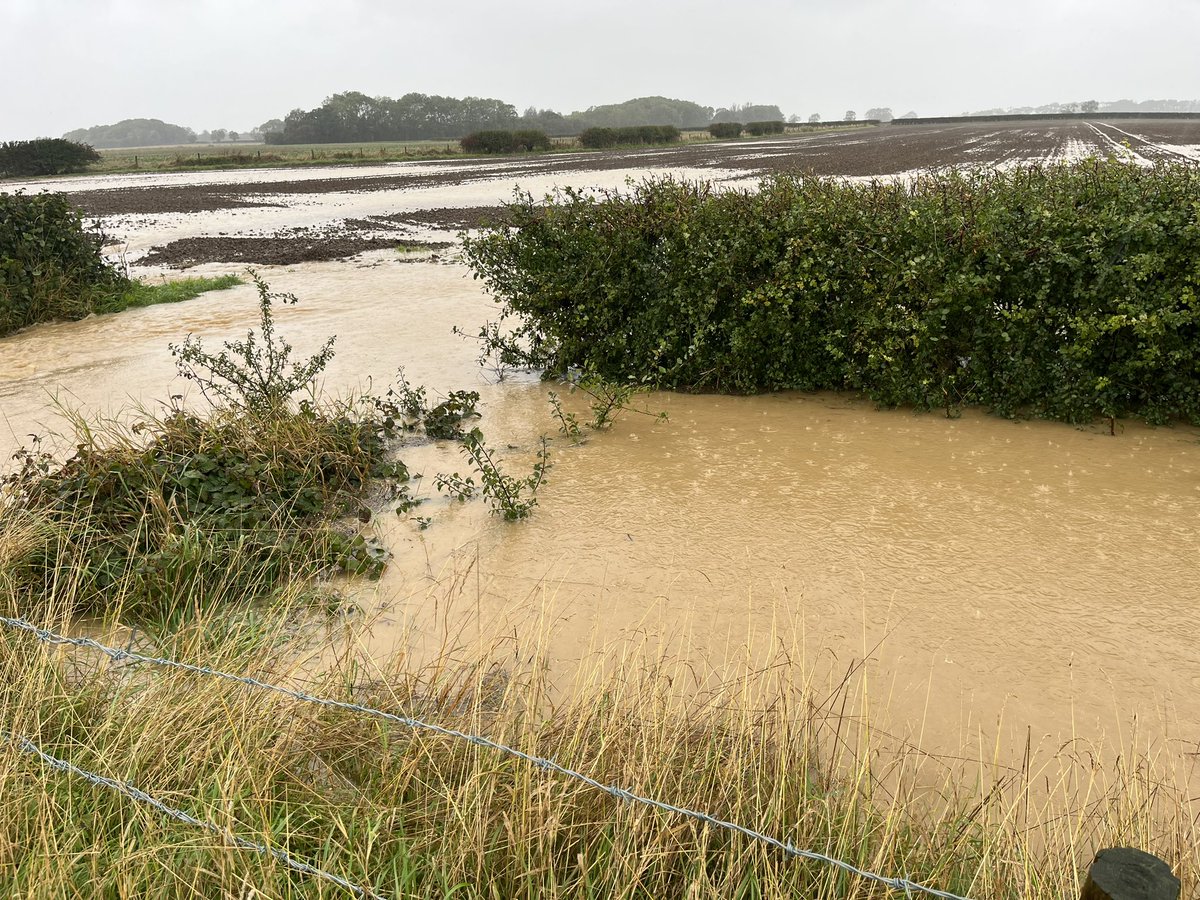 Tiggertagg1's tweet photo. When you have to bite your tongue on receipt of an email from an environment agency inspector thanking you for submitting evidence of compliance to an inspection,which in general I considered reasonable but still cost our business in excess and £5000 1/3 https://t.co/ZHmYglkS98