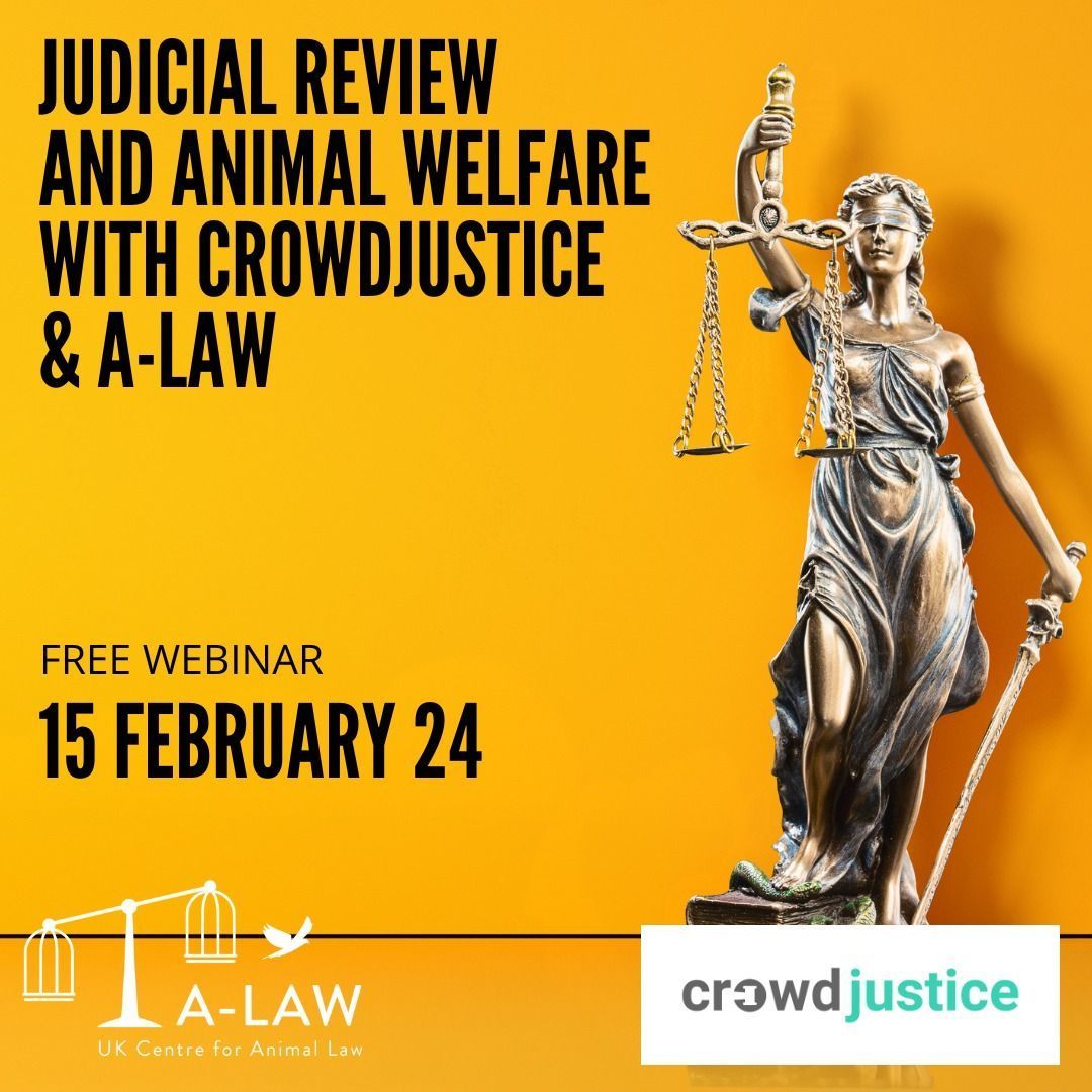 We are hosting a free webinar with @CrowdJusticeUK, Judicial Review and Animal Welfare, on 15 February 2024. We'll hear from A-Law's Chair, @PaulaSparksLaw and Maeve Storey from CrowdJustice. You can register your place here: buff.ly/3SqfbUu