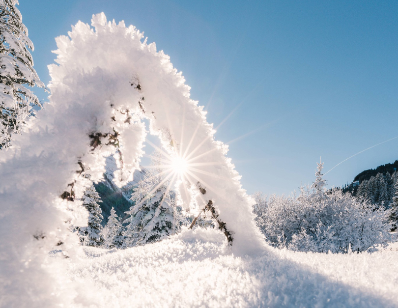 Winter is back, with significant snowfall forecast across Europe's mountains. How much? Where? Check the Snow Report - welove2ski.com/guess-whos-bac… (with a few juicy news bites from the ski world)