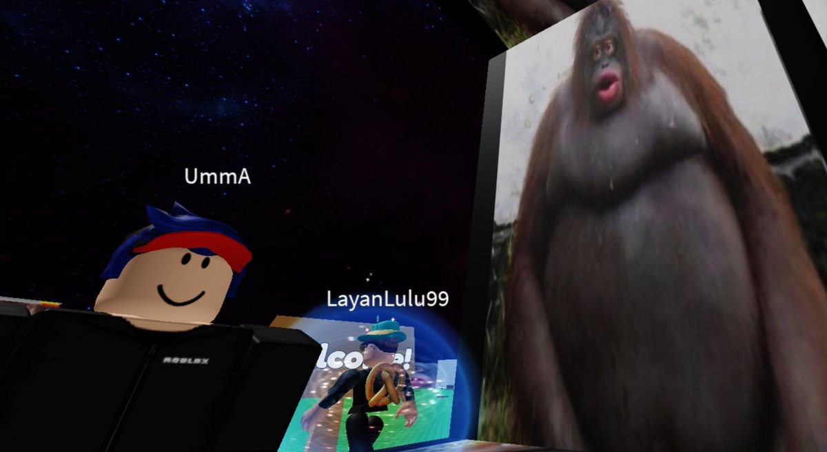 RandomRobloxSSE's tweet image. Day 1 - Where is roblox going...