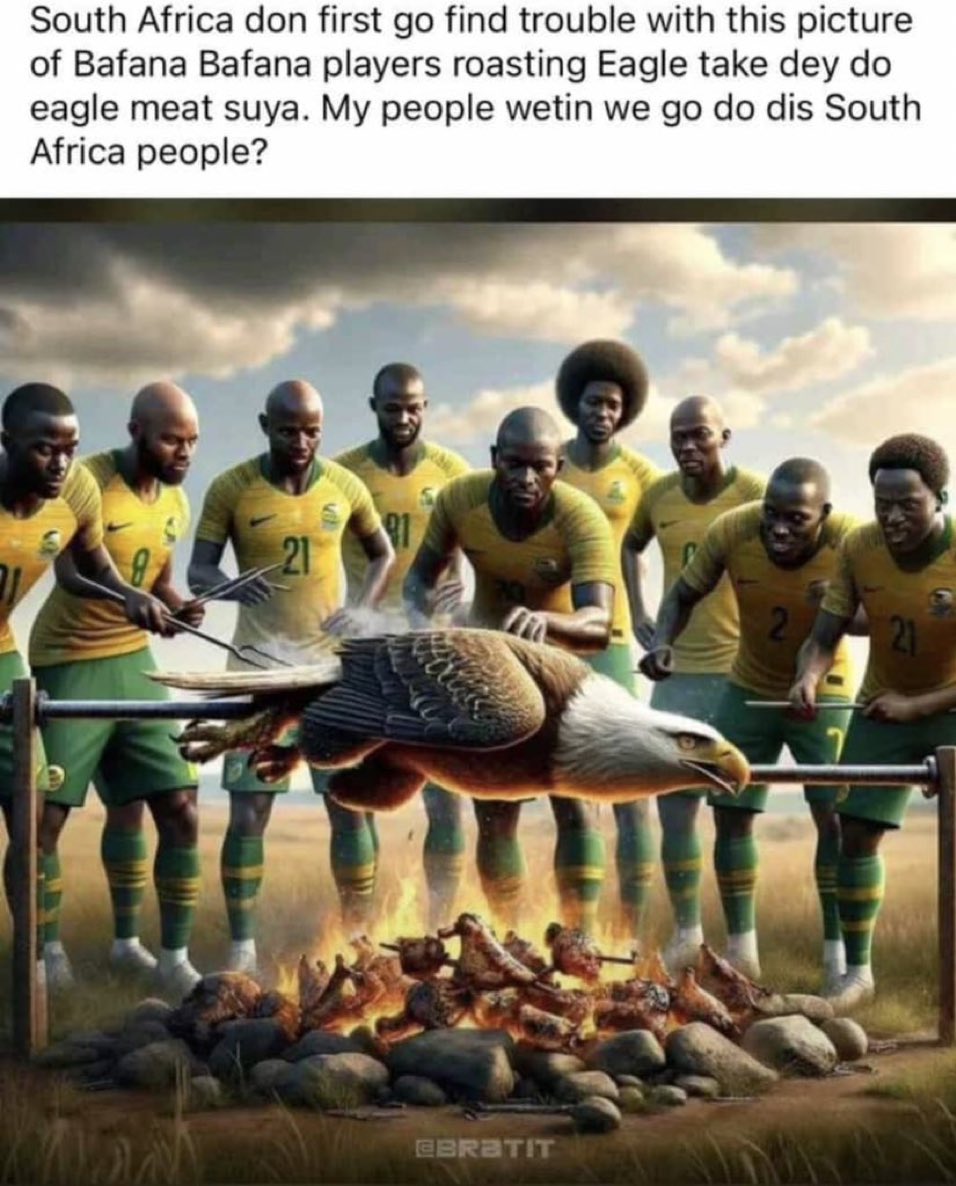 The first mistake South Africans made was put eagle on a rotisserie! Who gave you that idea! Nobody roasts Eagle, it's too majestic for spikes lol! Now you know and ikwetago n'oneme!  

Afcon super eagles, bafana banana Nigeria