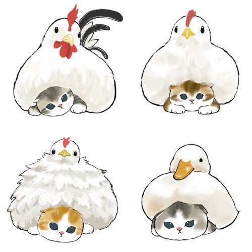 「chicken」 illustration images(Popular)