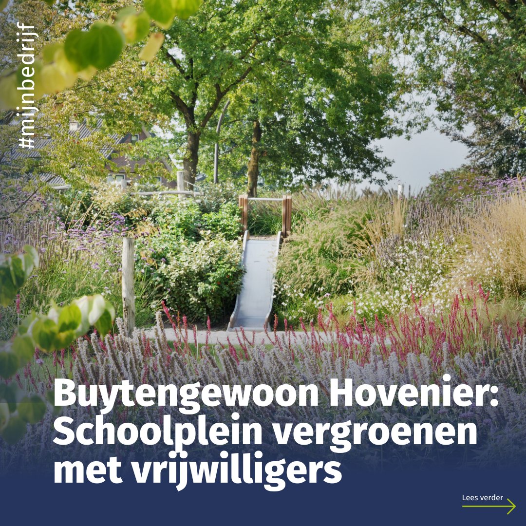 GroenOndernemen's tweet image. 𝗠𝗮𝗮𝗸 𝗸𝗲𝗻𝗻𝗶𝘀 𝗺𝗲𝘁… 𝗕𝘂𝘆𝘁𝗲𝗻𝗴𝗲𝘄𝗼𝗼𝗻 𝗛𝗼𝘃𝗲𝗻𝗶𝗲𝗿

Werken met gemiddeld 15 vrijwilligers om een groen schoolplein te maken. Hoe doe je dat?

Lees het in het artikel van Buytengewoon Hovenier: view.publitas.com/vhg/vhg-magazi…

#VHG #VitaleHovenier #Schoolplein