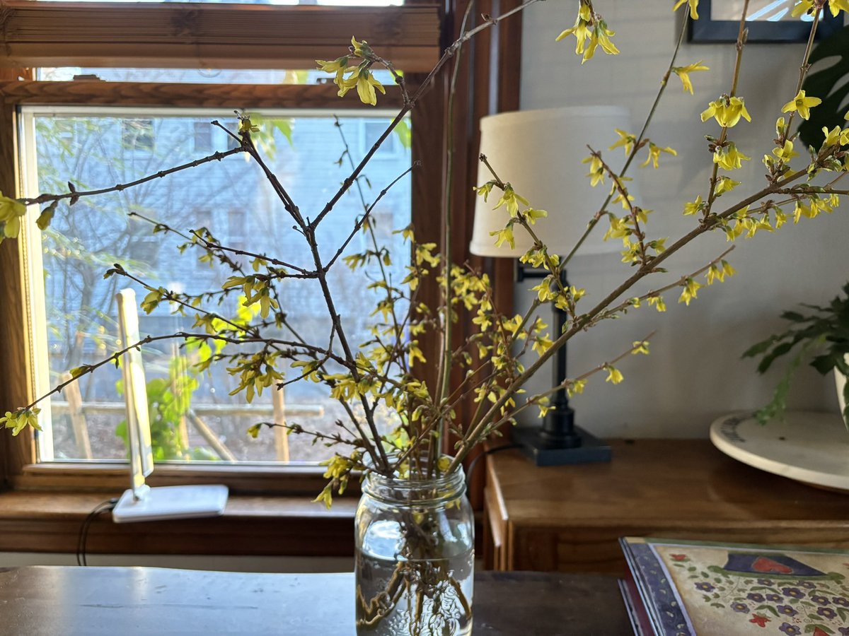 Dan Hazelwood tweet media